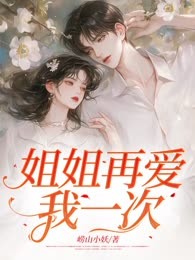 姐姐再爱我一次