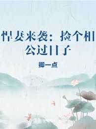 悍妻来袭：捡个相公过日子