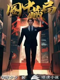 圈中藏局