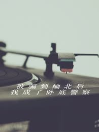 被骗到缅北后我成了卧底警察