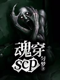 魂穿scp