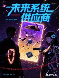 未来系统供应商