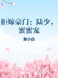 拒嫁豪门：陆少，蜜蜜宠