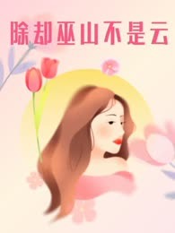 除却巫山不是云