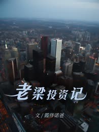 老梁投资记