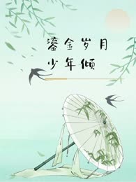 鎏金岁月少年倾
