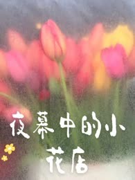 夜幕中的小花店