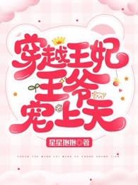 穿越王妃：王爷宠上天