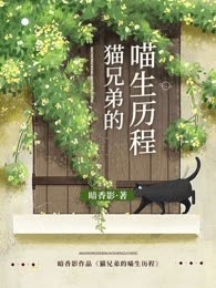 猫兄弟的喵生历程
