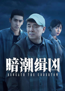 线上看 暗潮缉凶 (2025) 带字幕 中文配音