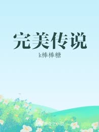 完美传说
