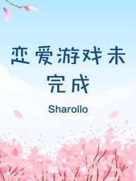恋爱游戏未完成