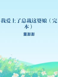 我爱上了总裁这婆娘（完本）