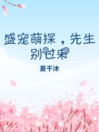盛宠萌探，先生别过来
