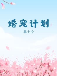 婚宠计划